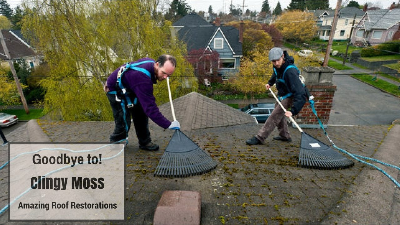 Roof Moss Removal in Capitol Hill WA